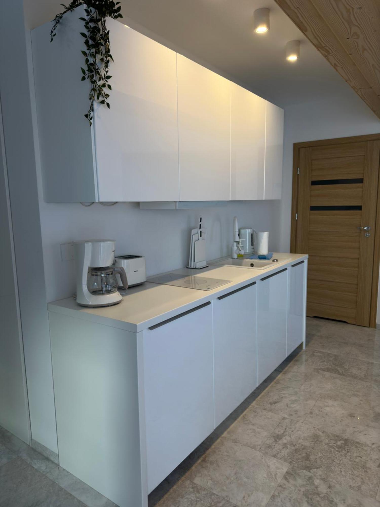 Apartamenty Willa Nika Ζακοπάνε Εξωτερικό φωτογραφία